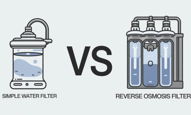 Water Filter vs Reverse Osmosis Filtration System